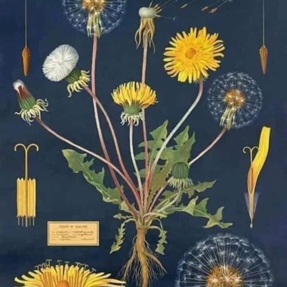 Meet your Posher, Jen - Picture 10 of 16